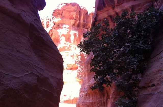 Petra, Jordan